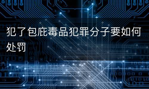 犯了包庇毒品犯罪分子要如何处罚