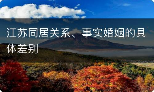 江苏同居关系、事实婚姻的具体差别