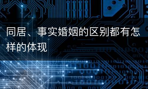 同居、事实婚姻的区别都有怎样的体现