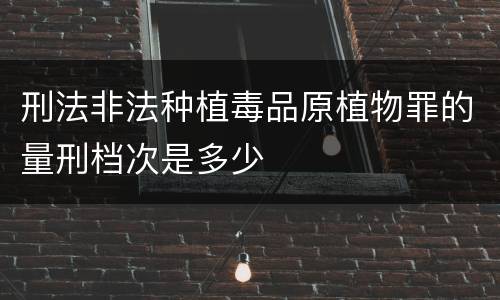刑法非法种植毒品原植物罪的量刑档次是多少