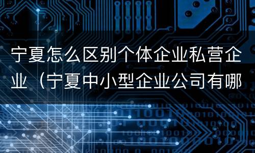 宁夏怎么区别个体企业私营企业（宁夏中小型企业公司有哪些）