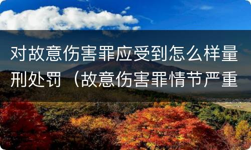 对故意伤害罪应受到怎么样量刑处罚（故意伤害罪情节严重怎么判刑）