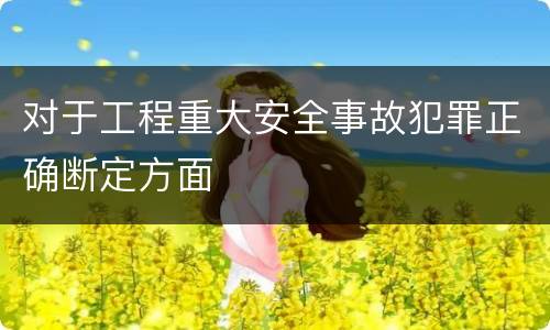 对于工程重大安全事故犯罪正确断定方面
