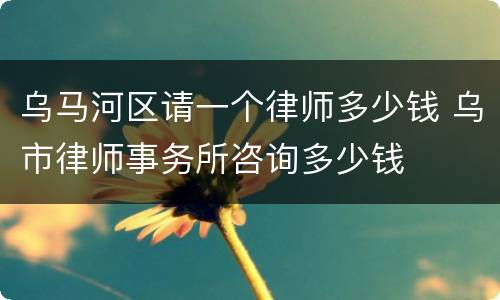 乌马河区请一个律师多少钱 乌市律师事务所咨询多少钱