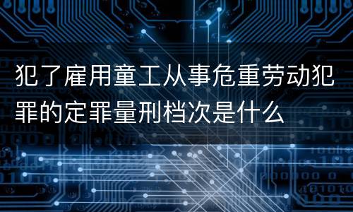 犯了雇用童工从事危重劳动犯罪的定罪量刑档次是什么