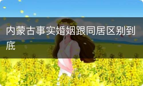 内蒙古事实婚姻跟同居区别到底