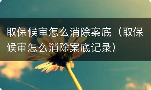 取保候审怎么消除案底（取保候审怎么消除案底记录）