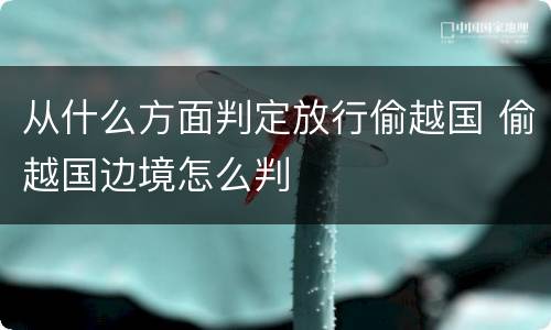 从什么方面判定放行偷越国 偷越国边境怎么判