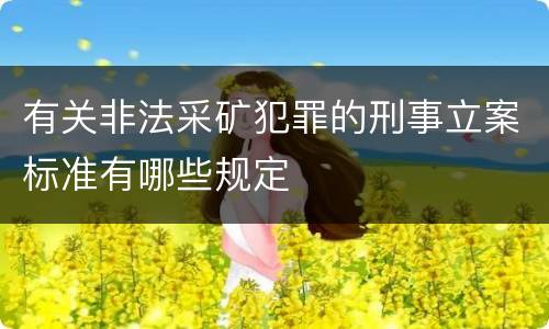 有关非法采矿犯罪的刑事立案标准有哪些规定