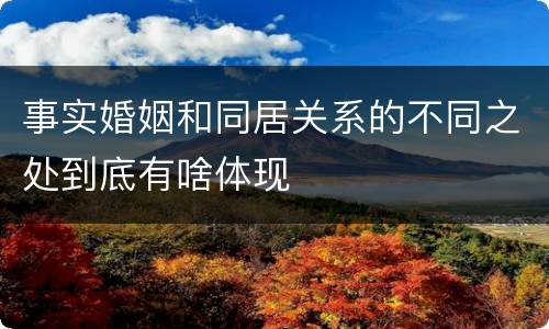 事实婚姻和同居关系的不同之处到底有啥体现