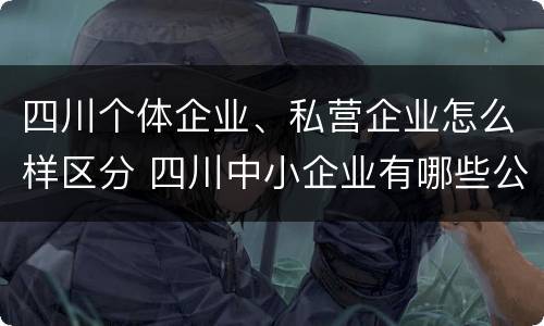 四川个体企业、私营企业怎么样区分 四川中小企业有哪些公司