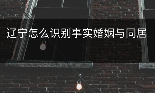 辽宁怎么识别事实婚姻与同居