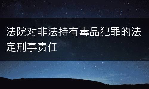 法院对非法持有毒品犯罪的法定刑事责任
