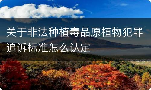 关于非法种植毒品原植物犯罪追诉标准怎么认定