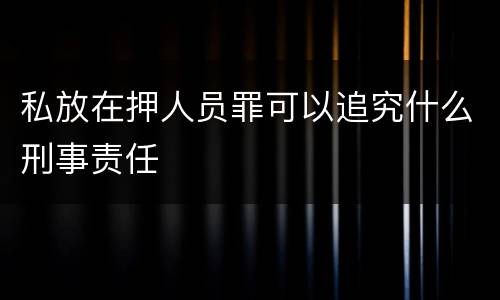 私放在押人员罪可以追究什么刑事责任