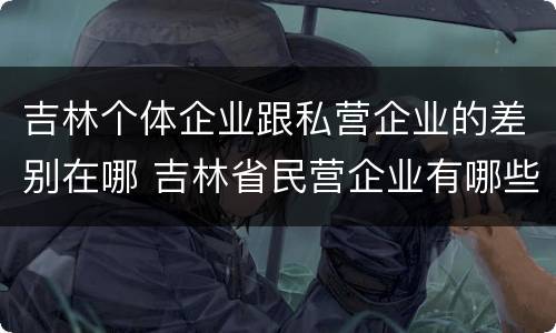 吉林个体企业跟私营企业的差别在哪 吉林省民营企业有哪些