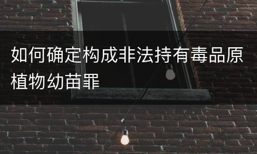 如何确定构成非法持有毒品原植物幼苗罪