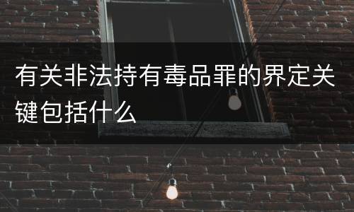 有关非法持有毒品罪的界定关键包括什么