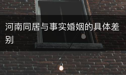 河南同居与事实婚姻的具体差别