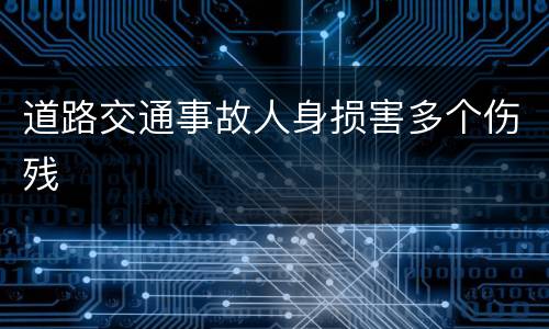 道路交通事故人身损害多个伤残