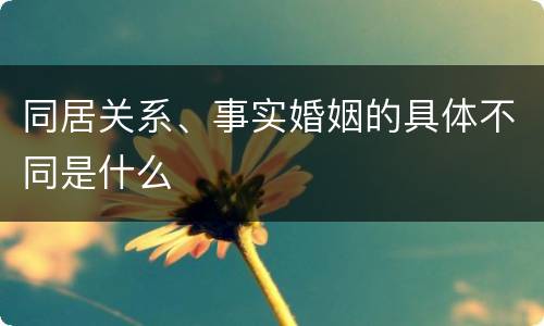 同居关系、事实婚姻的具体不同是什么