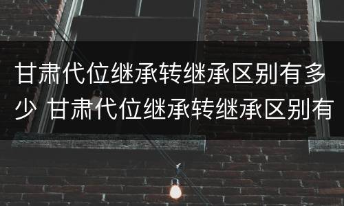 甘肃代位继承转继承区别有多少 甘肃代位继承转继承区别有多少年