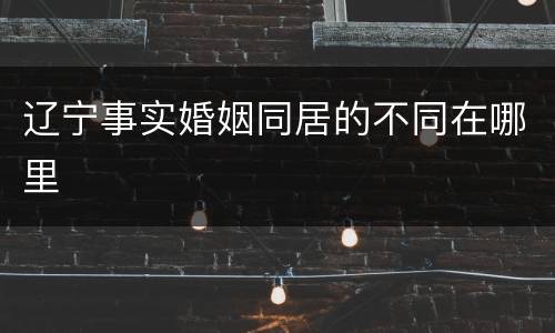 辽宁事实婚姻同居的不同在哪里