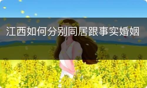 江西如何分别同居跟事实婚姻