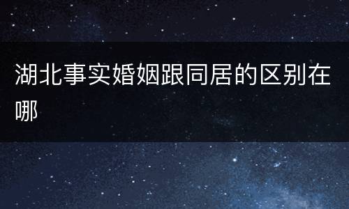 湖北事实婚姻跟同居的区别在哪