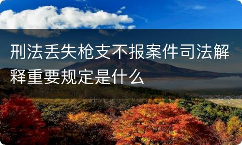 刑法丢失枪支不报案件司法解释重要规定是什么