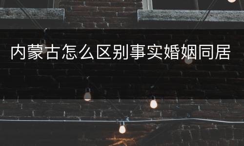 内蒙古怎么区别事实婚姻同居