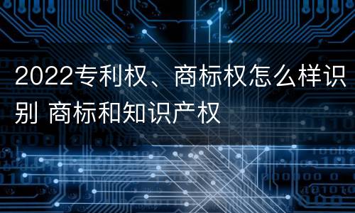 2022专利权、商标权怎么样识别 商标和知识产权