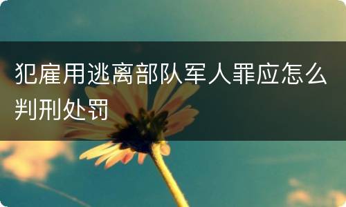 犯雇用逃离部队军人罪应怎么判刑处罚