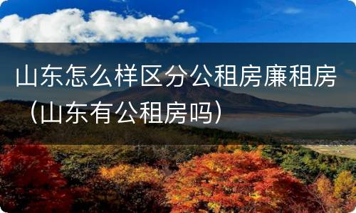 山东怎么样区分公租房廉租房（山东有公租房吗）