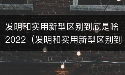 发明和实用新型区别到底是啥2022（发明和实用新型区别到底是啥2022年的）