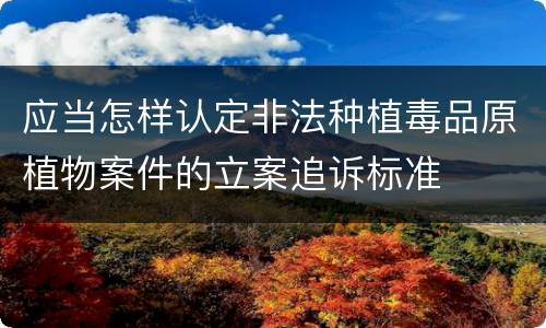 应当怎样认定非法种植毒品原植物案件的立案追诉标准