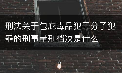 刑法关于包庇毒品犯罪分子犯罪的刑事量刑档次是什么