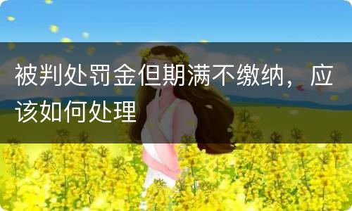 被判处罚金但期满不缴纳，应该如何处理