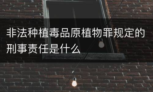 非法种植毒品原植物罪规定的刑事责任是什么