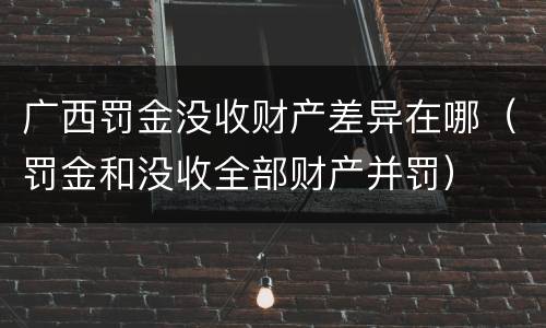 广西罚金没收财产差异在哪（罚金和没收全部财产并罚）