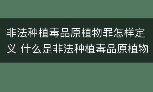 非法种植毒品原植物罪怎样定义 什么是非法种植毒品原植物罪