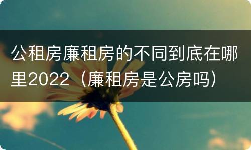 公租房廉租房的不同到底在哪里2022（廉租房是公房吗）