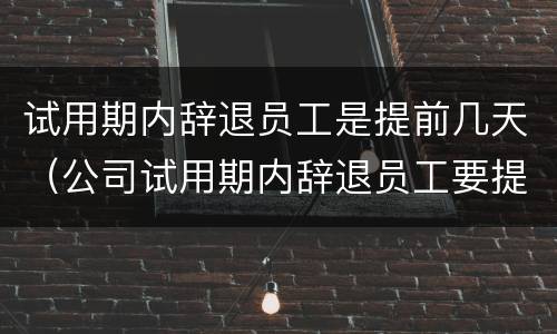 试用期内辞退员工是提前几天（公司试用期内辞退员工要提前几天）