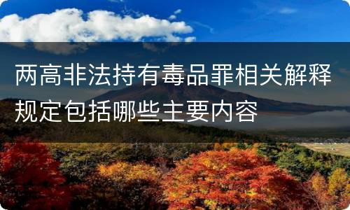 两高非法持有毒品罪相关解释规定包括哪些主要内容