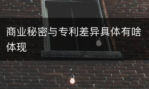 商业秘密与专利差异具体有啥体现
