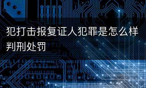 犯打击报复证人犯罪是怎么样判刑处罚