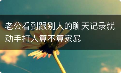 老公看到跟别人的聊天记录就动手打人算不算家暴