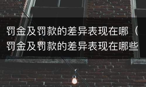 罚金及罚款的差异表现在哪（罚金及罚款的差异表现在哪些方面）
