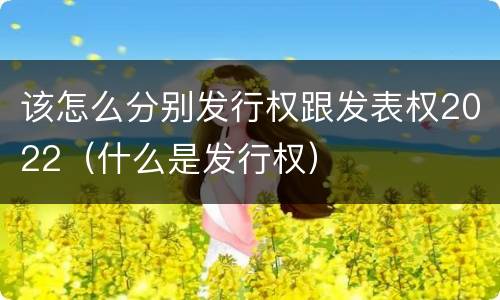 该怎么分别发行权跟发表权2022（什么是发行权）