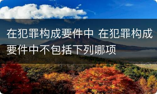 在犯罪构成要件中 在犯罪构成要件中不包括下列哪项